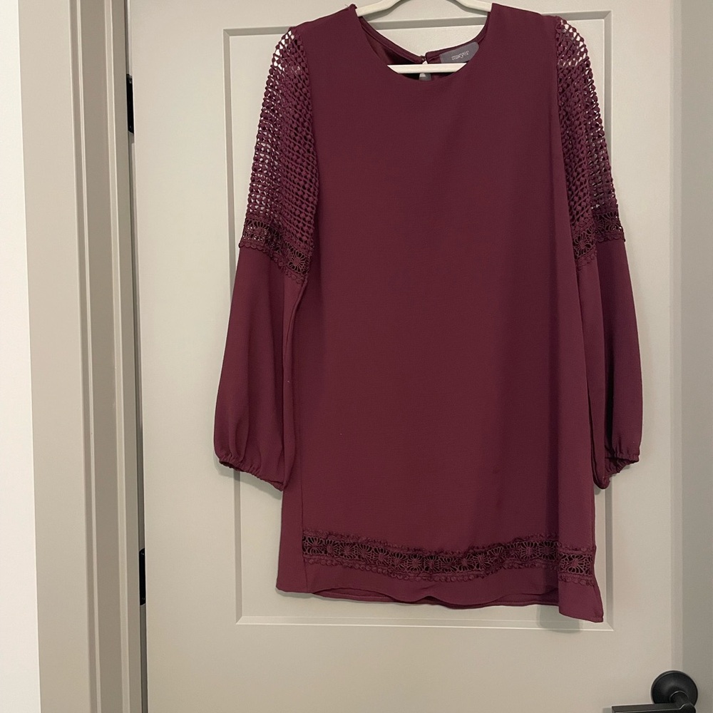 Chic Long Sleeve Burgundy Dress
